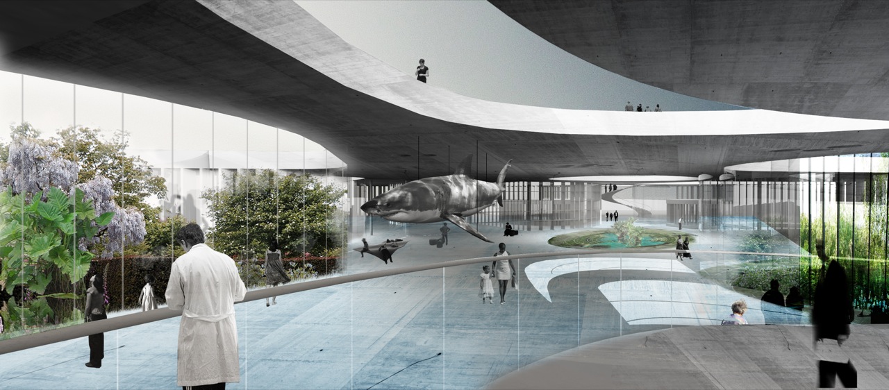 Mmu dissertation pool picture